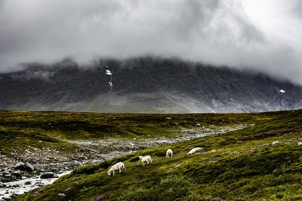 À la découverte des domaines et vignerons de Châteauneuf-du-Pape